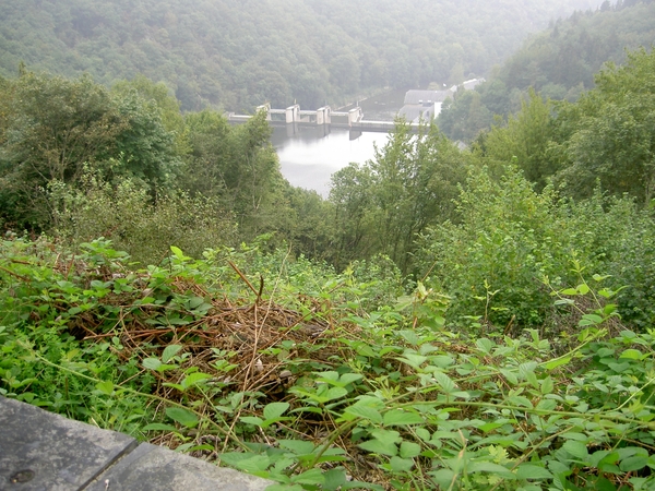 2006-09-14 Vielsalm 060