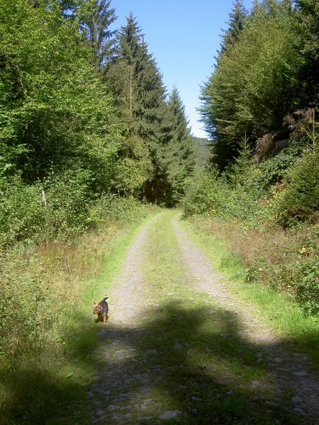 2006-09-14 Vielsalm 125