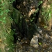 2006-09-14 Vielsalm 235