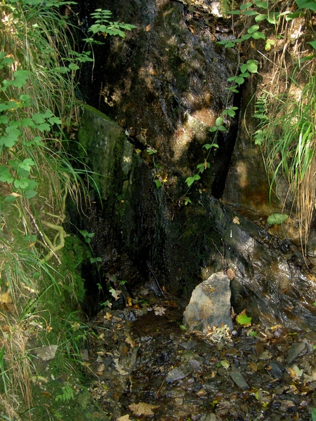 2006-09-14 Vielsalm 235