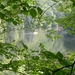 2006-09-14 Vielsalm 238