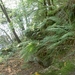 2006-09-14 Vielsalm 239