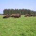 2006-09-14 Vielsalm 262