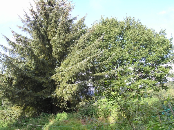 2006-09-14 Vielsalm D 042