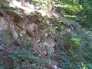 2006-09-14 Vielsalm D 071