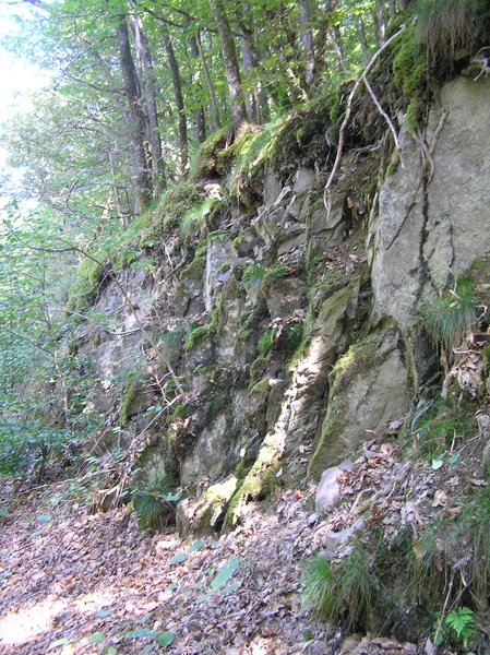 2006-09-14 Vielsalm D 075