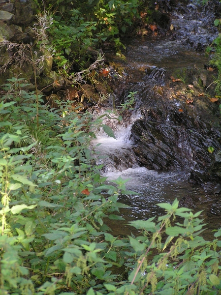2006-09-14 Vielsalm D 108