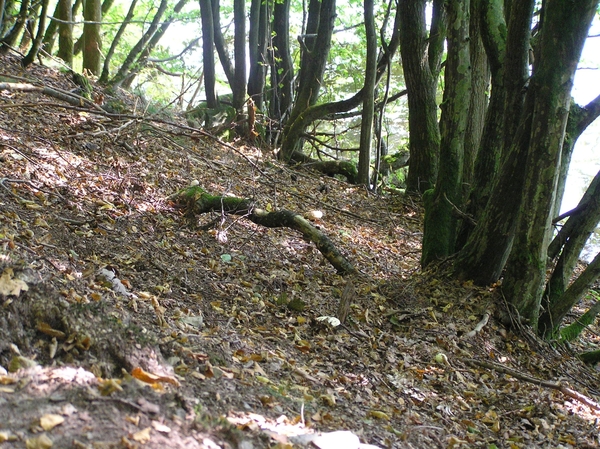 2006-09-14 Vielsalm D 128