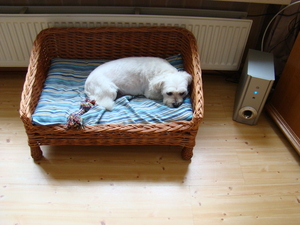 Doortje in de Mand