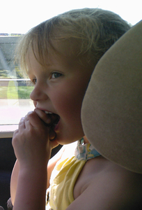 In de Auto