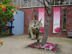 SDC12391