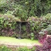 SDC12399