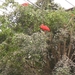 SDC12407