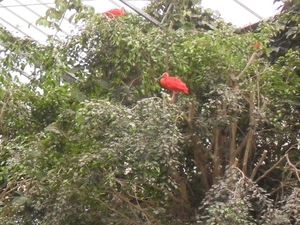 SDC12407