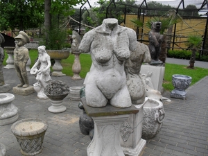 SDC12411