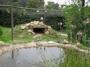 SDC12412