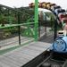 SDC12440