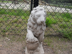 SDC12455