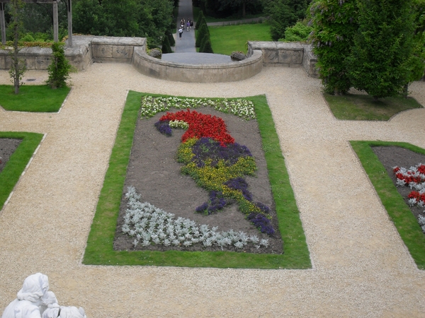 SDC12469