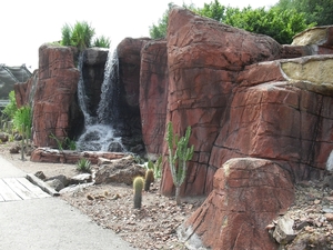 SDC12471