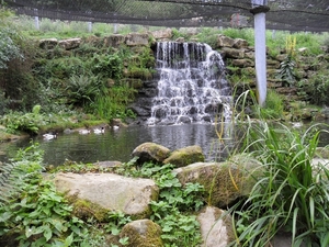 SAM_0220
