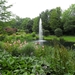 SAM_0228