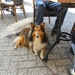 SAM_0240