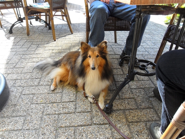 SAM_0240