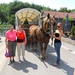 SAM_0248