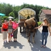 SAM_0249