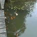 BILD0145