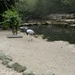 BILD0150