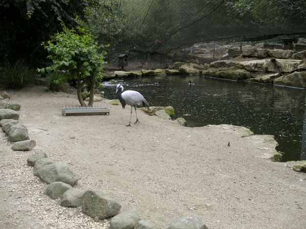 BILD0150