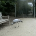 BILD0151