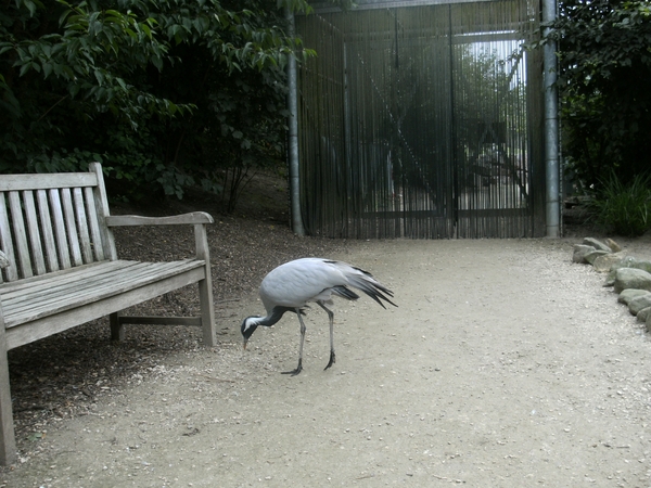 BILD0151