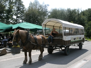 BILD0156