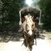 BILD0162