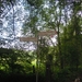 DSCN0582