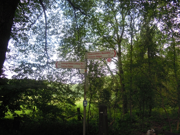 DSCN0582