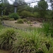 DSCN0620