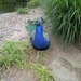 DSCN0622