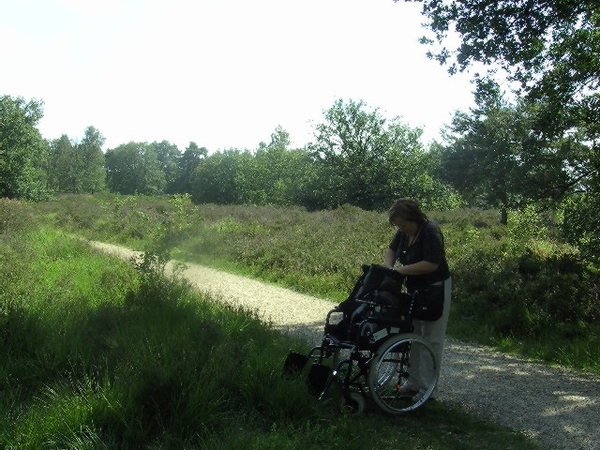 BILD2422