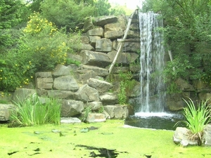 BILD2433