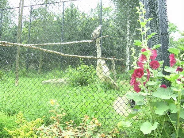 BILD2440