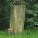 BILD2455