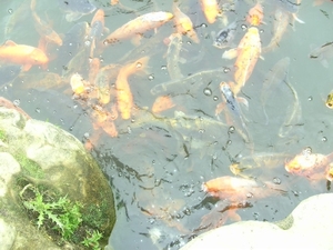 BILD2467