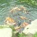 BILD2471