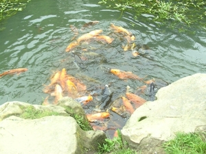 BILD2471