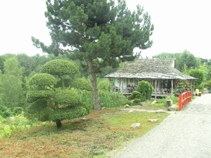BILD2488