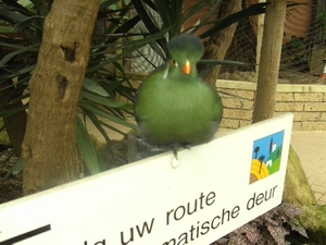 BILD2498